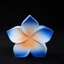 PELLIZCO PLASTICO P/ CABELLO 8 CM