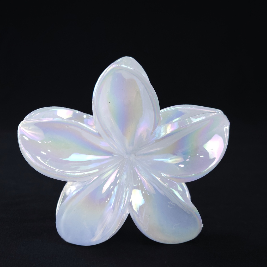 PELLIZCO PLASTICO P/ CABELLO 8 CM