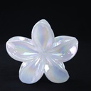 PELLIZCO PLASTICO P/ CABELLO 8 CM