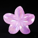 PELLIZCO PLASTICO P/ CABELLO 8 CM