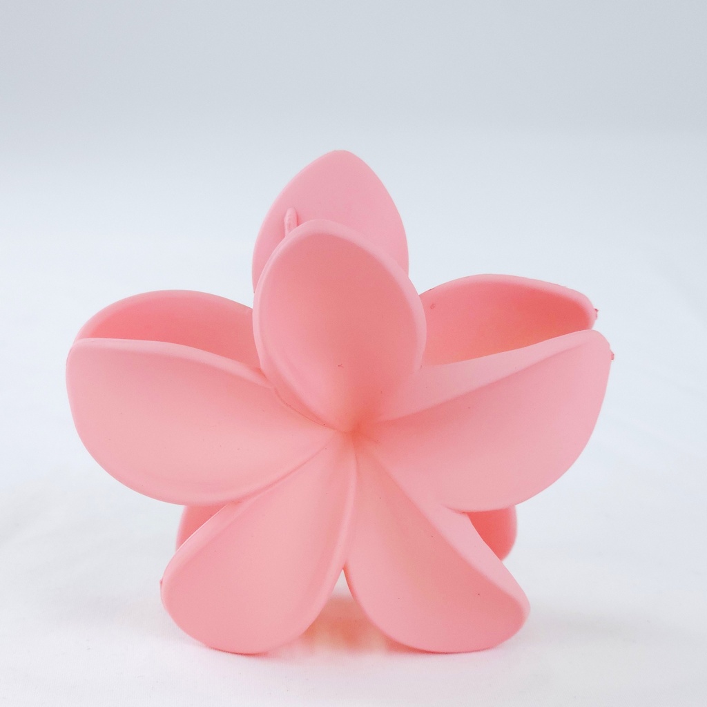 PELLIZCO PLASTICO P/ CABELLO 8 CM