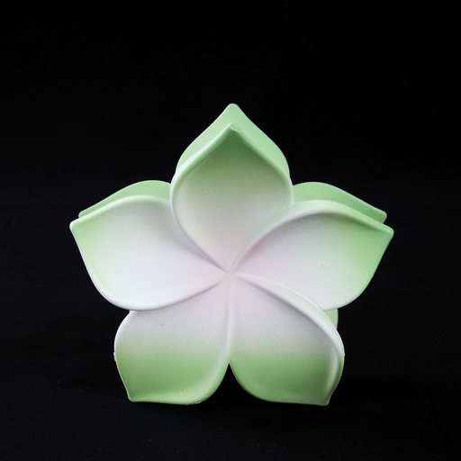 [ZK8O050083] PELLIZCO PLASTICO P/ CABELLO 8 CM